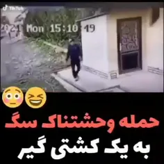 قدرت سگ😂