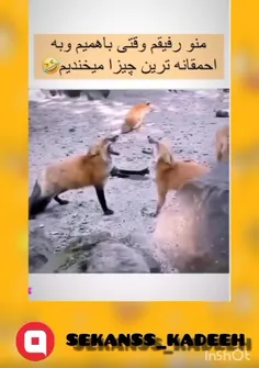 منو رفیقم وقتی باهمیم😂😂