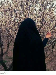 گذشت جمعه ای ولی دعای مانگرفت.