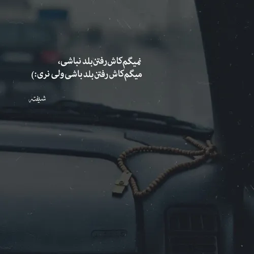 نمیگم کاش رفتن بلدنباشی،