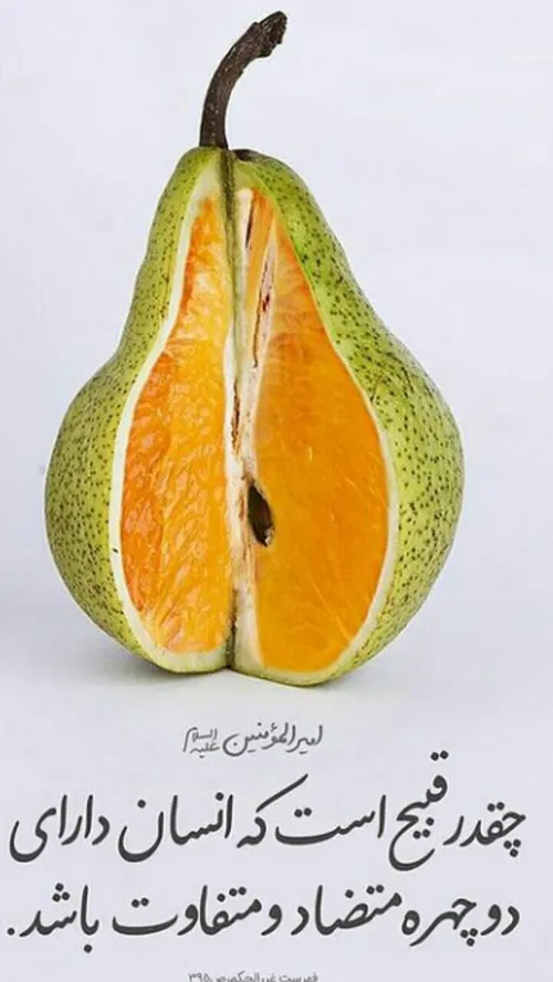 رفیق شناسی