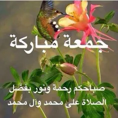 مذهبی moheb14 11919727