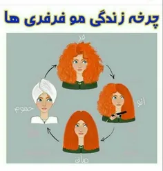 فرفریا و اصفهانیا کامنت بزارن