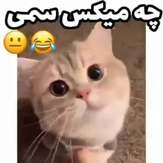 خیلی سممممممممممممم 😂🤣