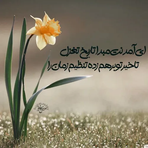 گردن معشوق می افتد گناه عاشقان