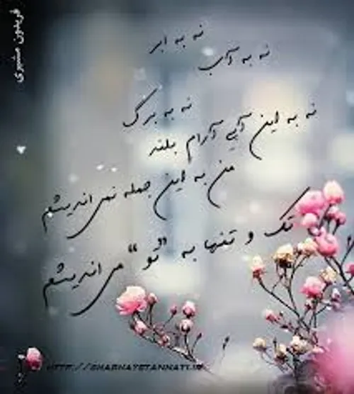 به چای خوردن تو پیش ادم بعدی قسم به من قسم به همین شعر که