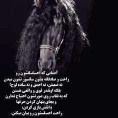 جای درهمین حوالی...