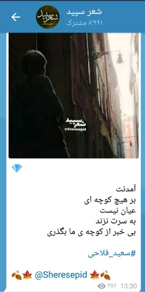 سعید فلاحی سعید فلاحی زانا کوردستانی زانا کوردستان لیلا ل