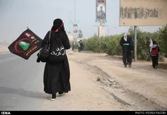 قال الصادق (علیه السلام) : «شاطی الوادی الایمن» الذی ذکره