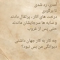 آرش شفاعی