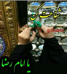 #امام رضا