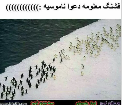 برید کنار لگدی نشید :)