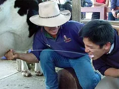 از این راحت تر داریم؟