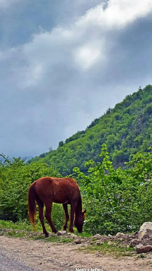 ایران زیبا روستای زیارت گرگان