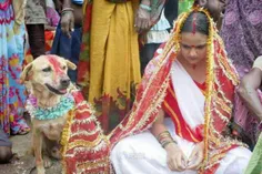 ازدواج باسگ...هند