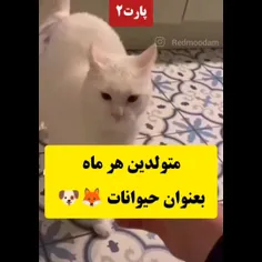 پارت ¹ توی پیجمه✨