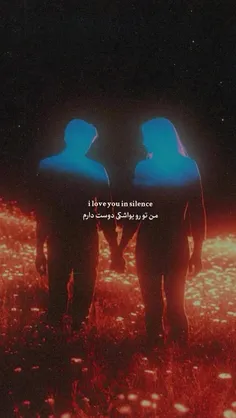 " نیست ممکن هرکه مجنون شد، 