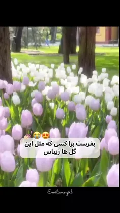 اگه خوشت اومد لایک کن فداتشم ♥️
