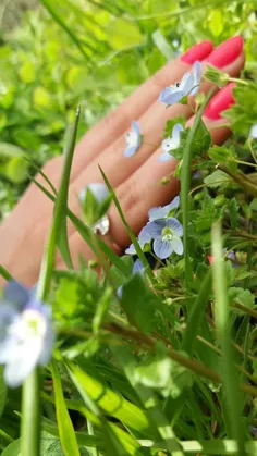 خودت را تمام نکن برایِ کسانی که ظاهراً رفیقند و باطناً رق