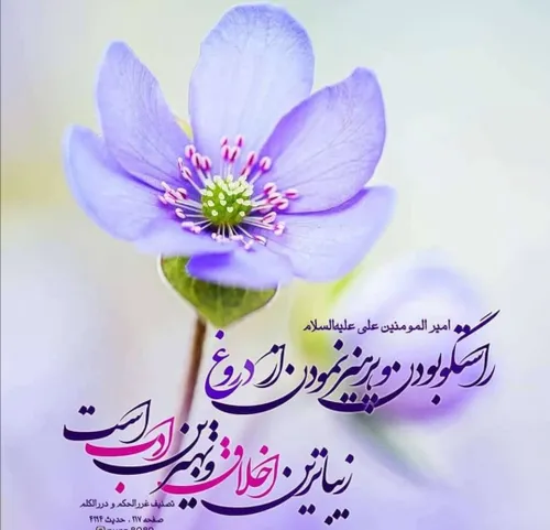 🌿🌿سخن مولا علی علیه السلام 🌿 🌿 حدیث