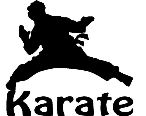تو رگای من کاراته جریان داره:)