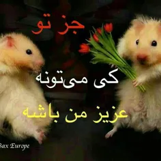 جز تو کی میتونه توو قلب❤من جا شـہ