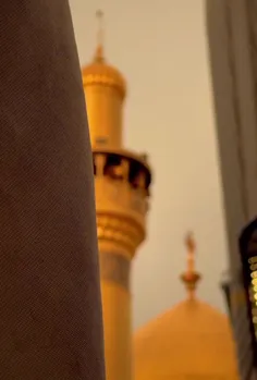 عجب سروی عجب ماهی