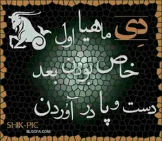 دی ماهی ها لایک...