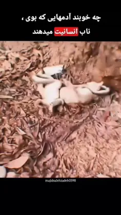 انسانیت... مهربانی... 