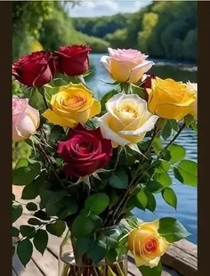 در ایـن دیوانسرا گاهی، ز هـجـر یار می رقـصـم