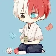 todoroki kitty 