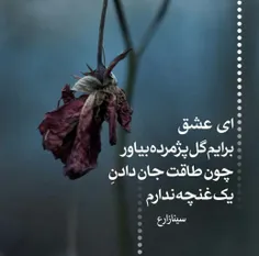 بوسه ی فراموش شده ی