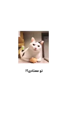 برای دونستن قیمت هر محصول عددش رو کامنت کن🫶🏻🔥✨