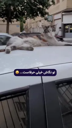 این نگاهاش از صدتا فحش بدتره😂😂