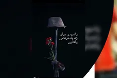 مرتضی پاشایی