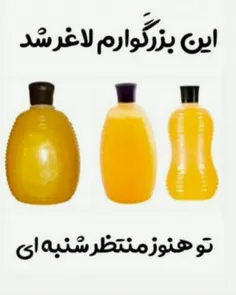 گوناگون irani.velaei 30909381