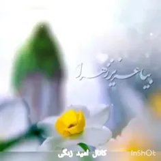 یافاطمه الزهرا: