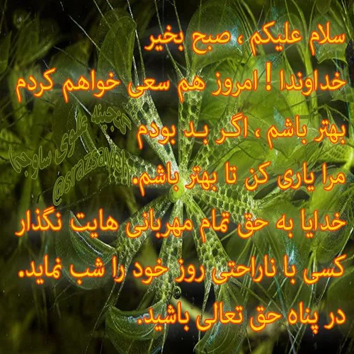 سلام علیکم ، صبح بخیر