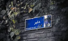 بریم اونجا که دلبر خونه داره❤ 🌟 🌸 🍃