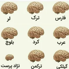 از کدوم نژادی ؟؟؟؟