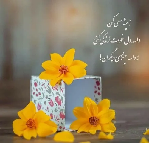 همیشه سعی کن