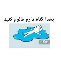 هر کسی این عکس رو ببینه و نیاد منو فالو کنه خره :'(