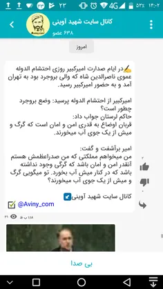 ✍ در ایام صدارت امیرکبیر روزی احتشام الدوله  عموی ناصرالد