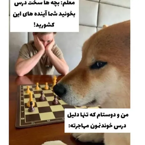 دقیقا 😁