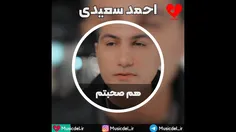 آهنگ جدید احمد سعیدی به نام هم صحبتم