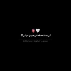 096177165578 75052928