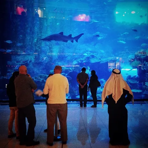 Visitors look at the sealife inside the giant aquarium at