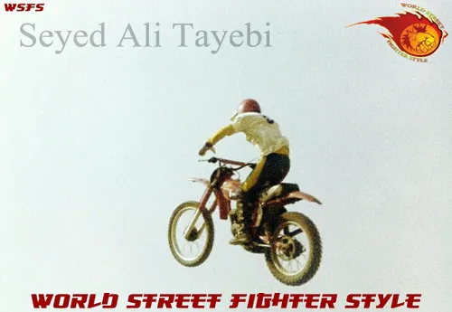 GM. Seyed Ali Tayebi  Street Fighter