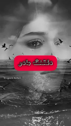من از این فاصله از این جدایی گلایه دارم