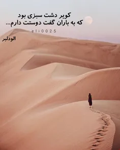 کویر دشت سبزی بود